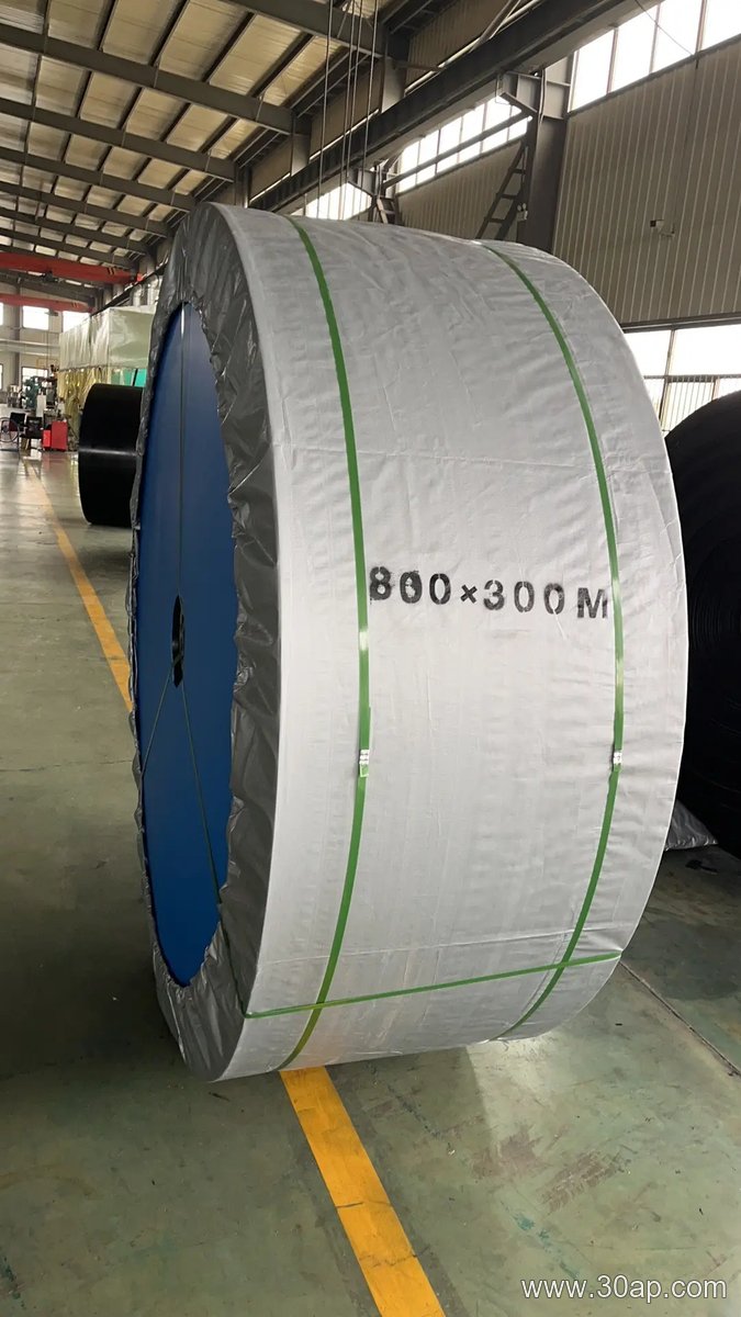 Conveyor Belt Selection and Purchasing Guide