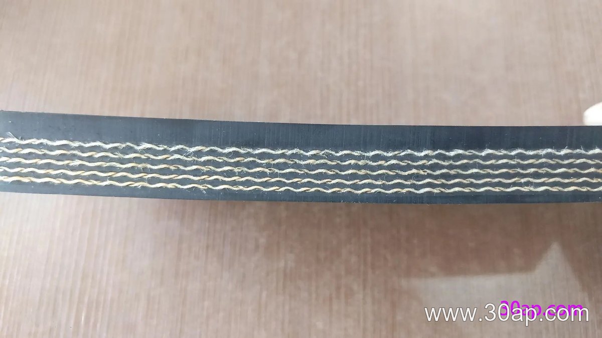 EP1250 Conveyor Belt