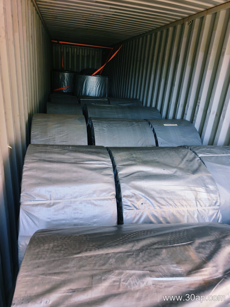Thick Conveyor Belt product image