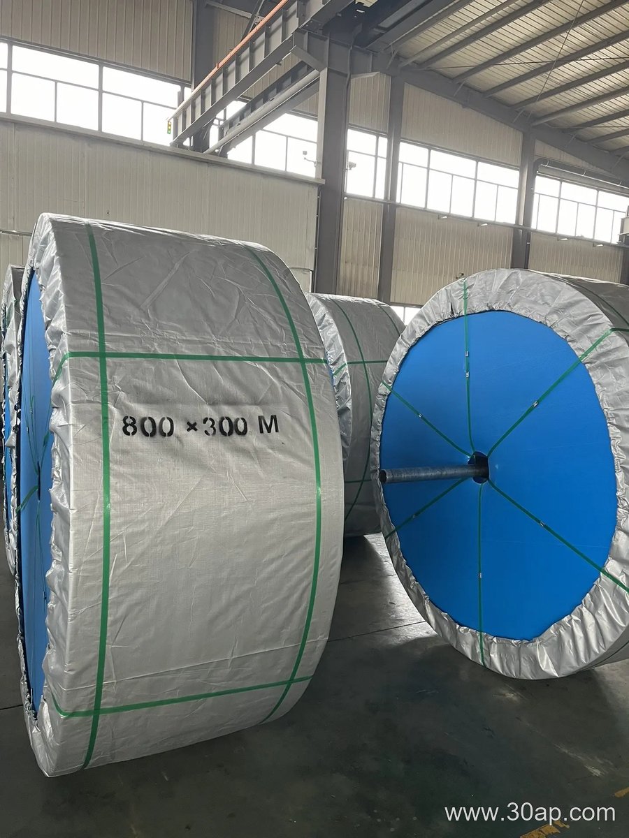 Choosing the Right Conveyor Belt for Heavy-Duty Industrial Performance