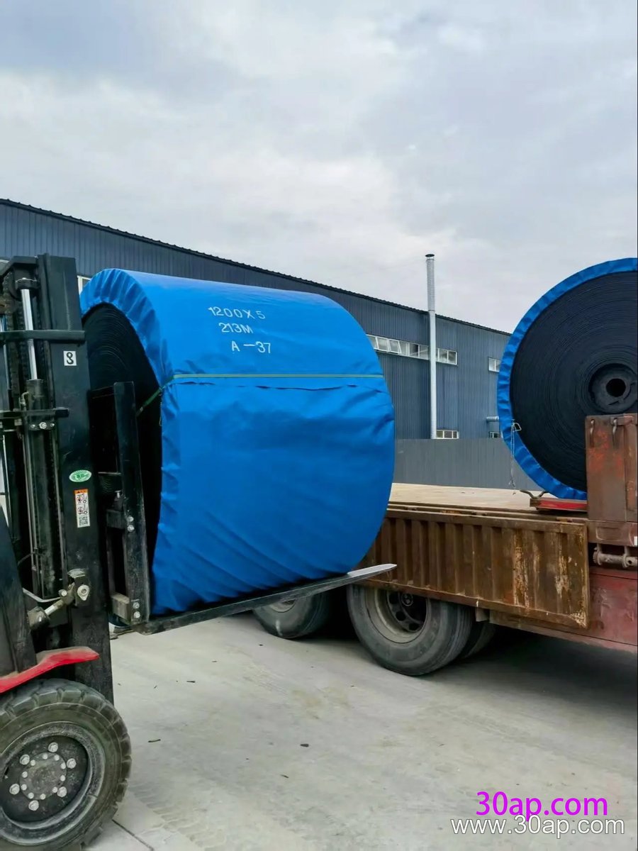ST3150 Conveyor Belt