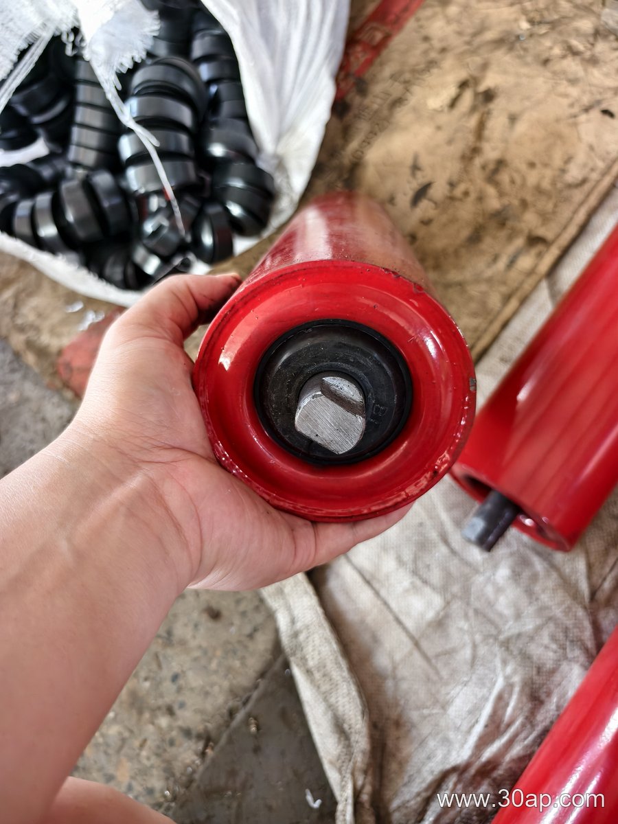 Belt Guide Roller
