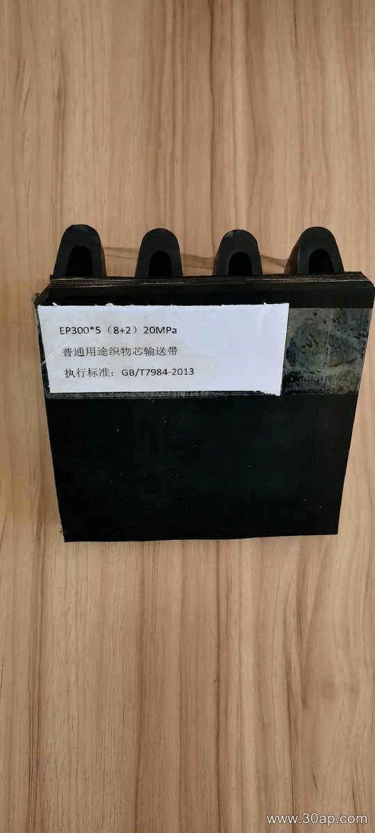 Abrasion Resistant Conveyor Belt product image
