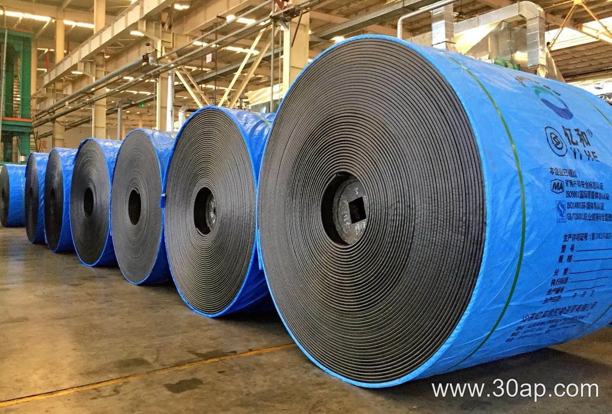 EP1250 Conveyor Belt