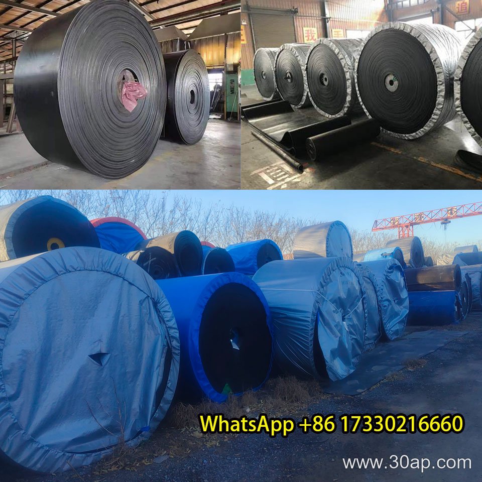 EP1000 Conveyor Belt