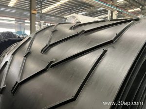 Why Does a Conveyor Belt Wander at a Bulk Port Terminal and Which Causes Matter Most