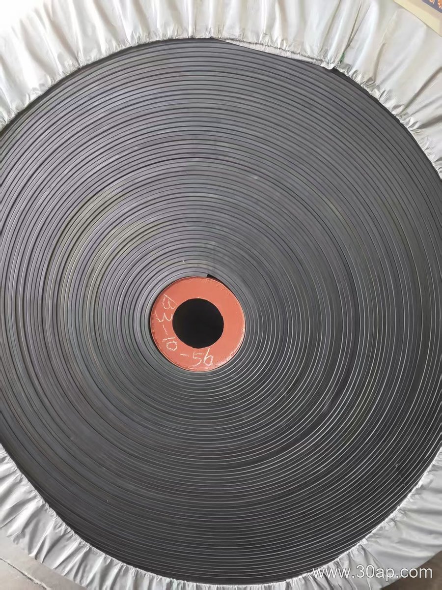 Flame Retardant Conveyor Belt product image