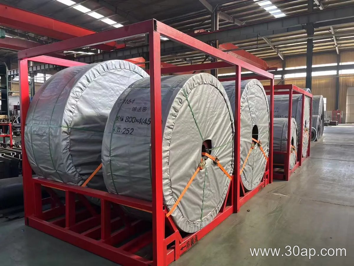 EP Conveyor Belt, 10mm Thick product image