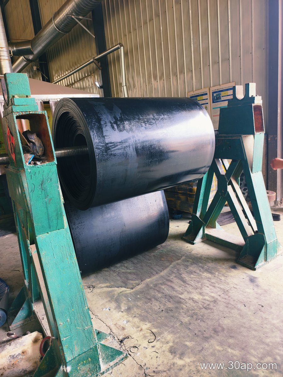 Acid Resistant Conveyor Belt product image