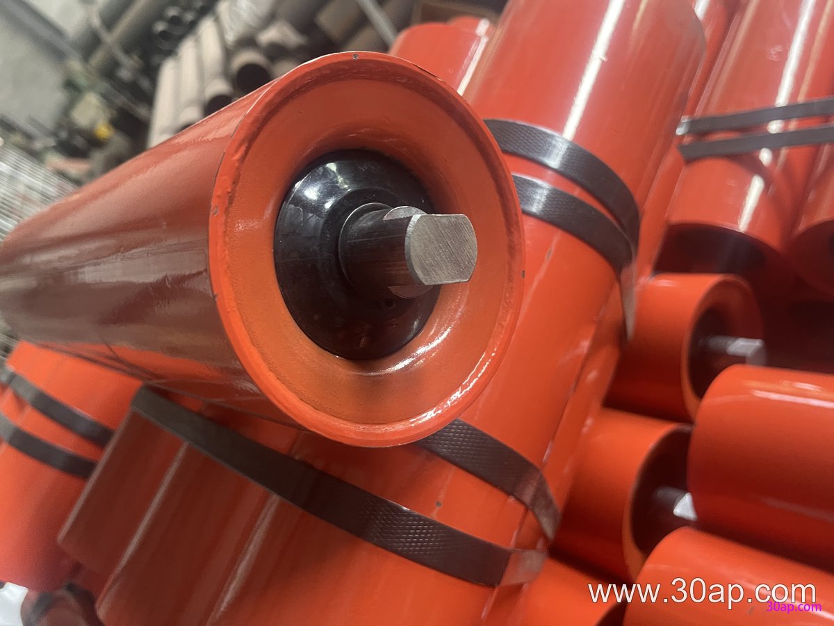 Belt Guide Roller