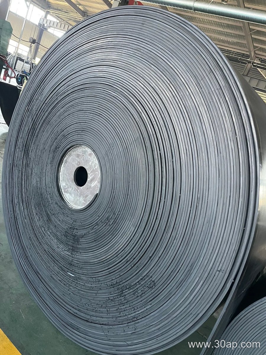PVG800S Conveyor Belt product image