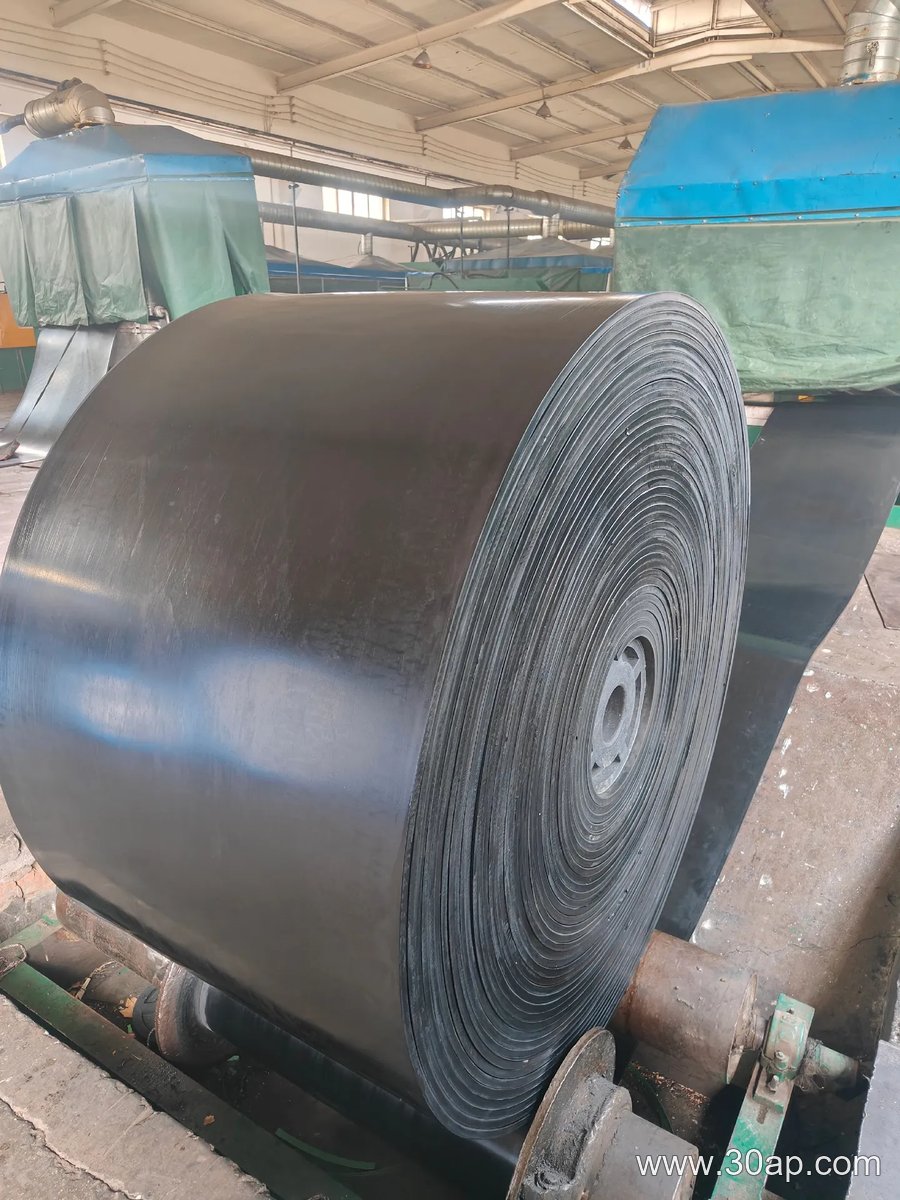 NN200 Conveyor Belt product image