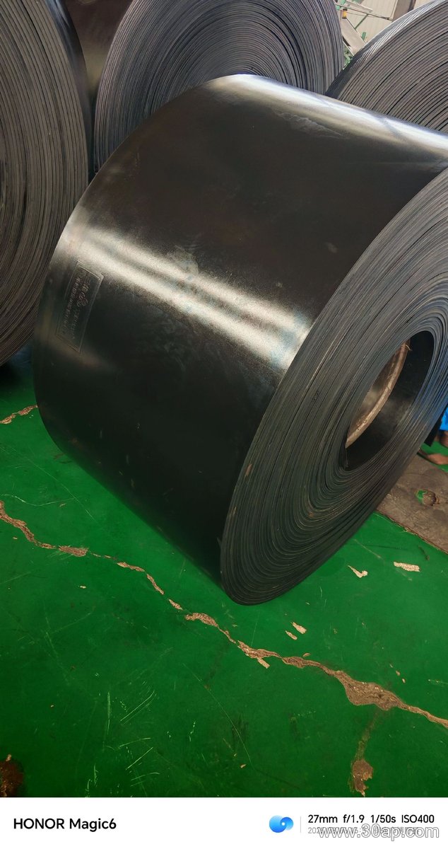 EP300 Conveyor Belt product image