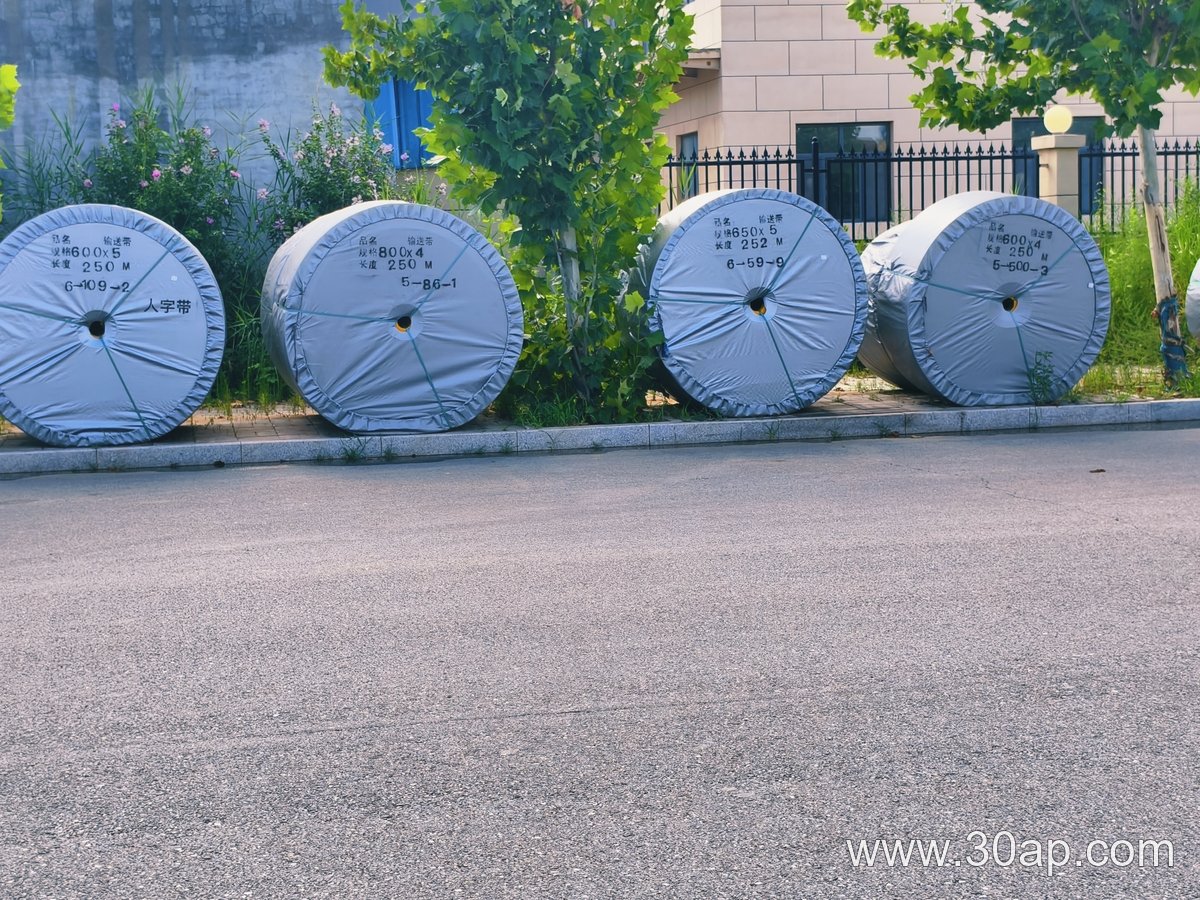 Port Conveyor Belt product image