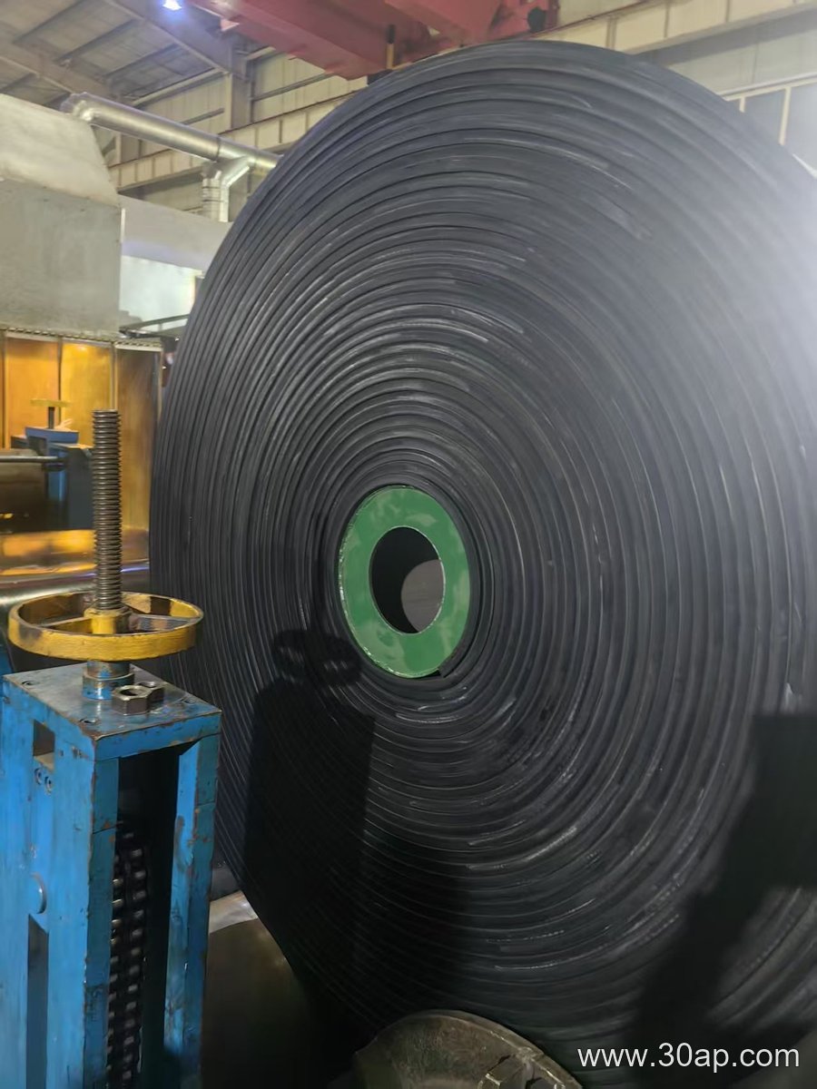 EP300 Conveyor Belt product image