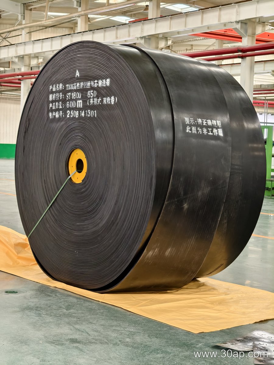 Skirted Conveyor Belt product image