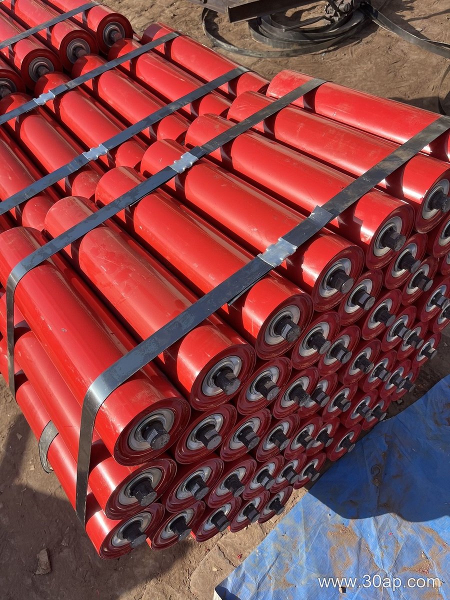 Automatic Self-Aligning Idler product image