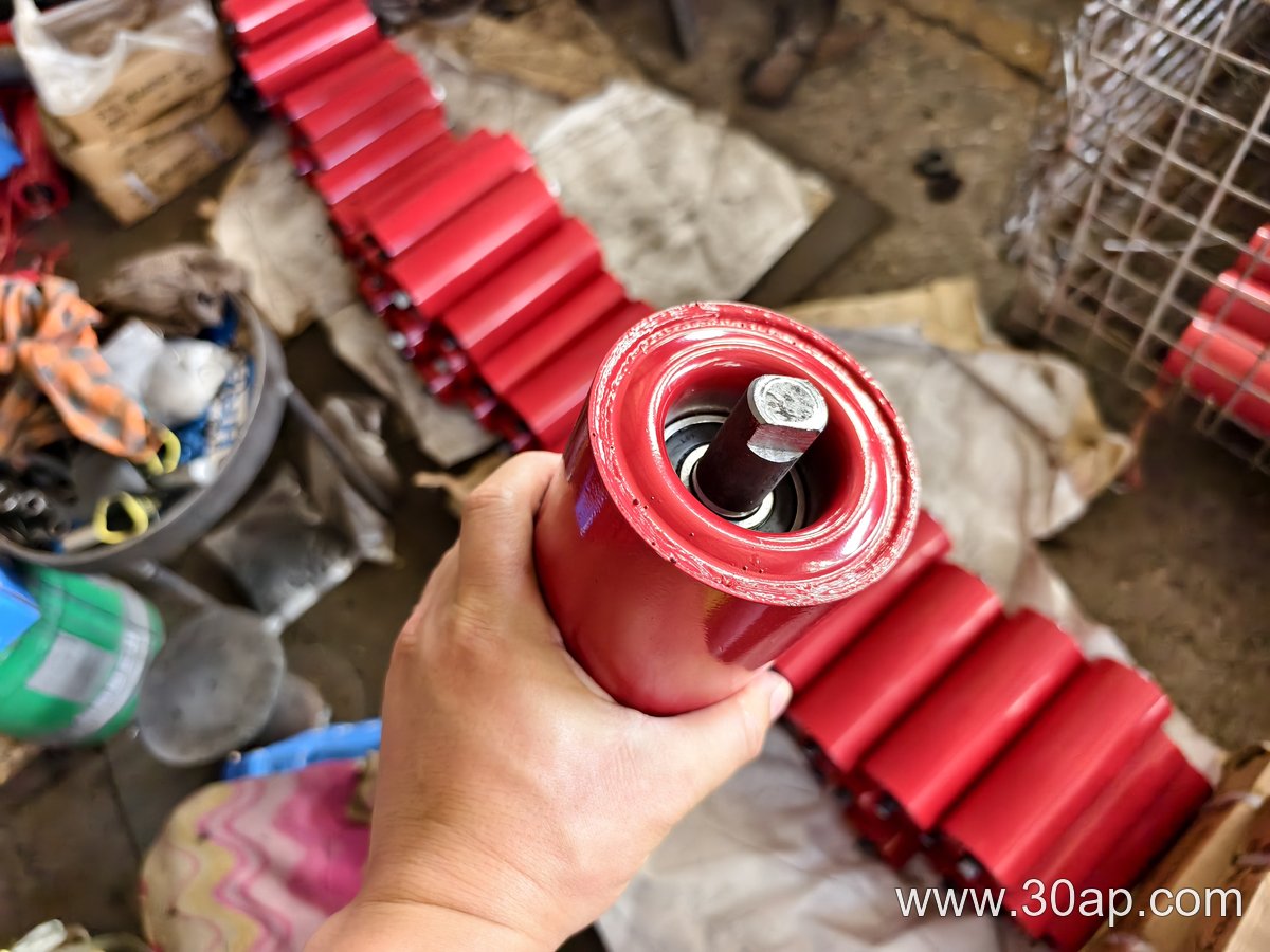 Belt Guide Roller