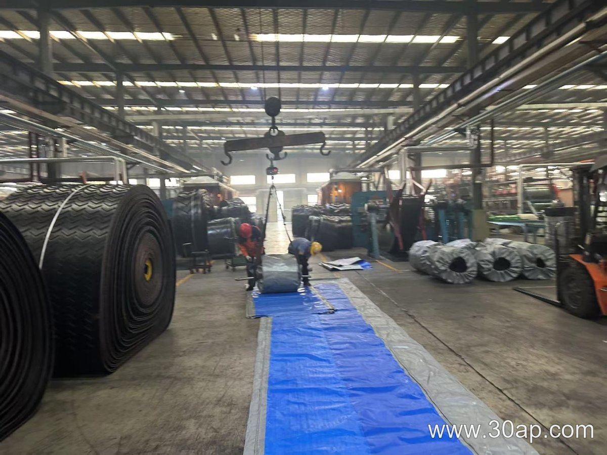 650mm Conveyor Belt product image