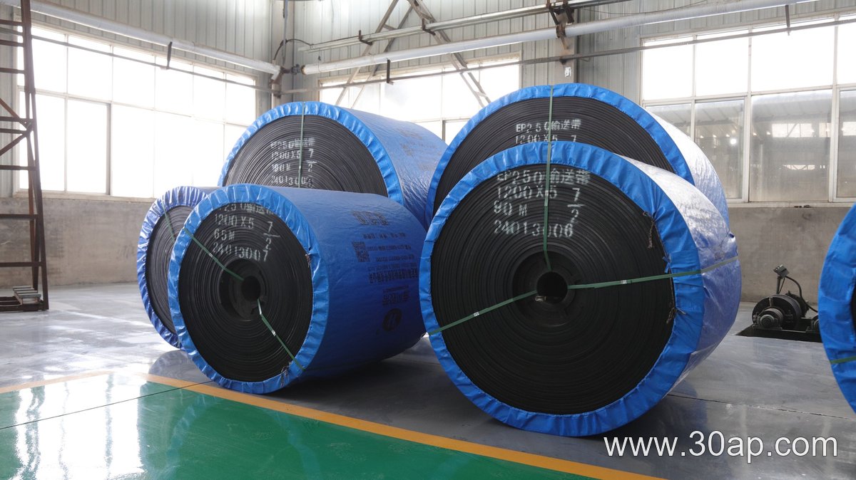 EP1000 1200mm Conveyor Belt product image