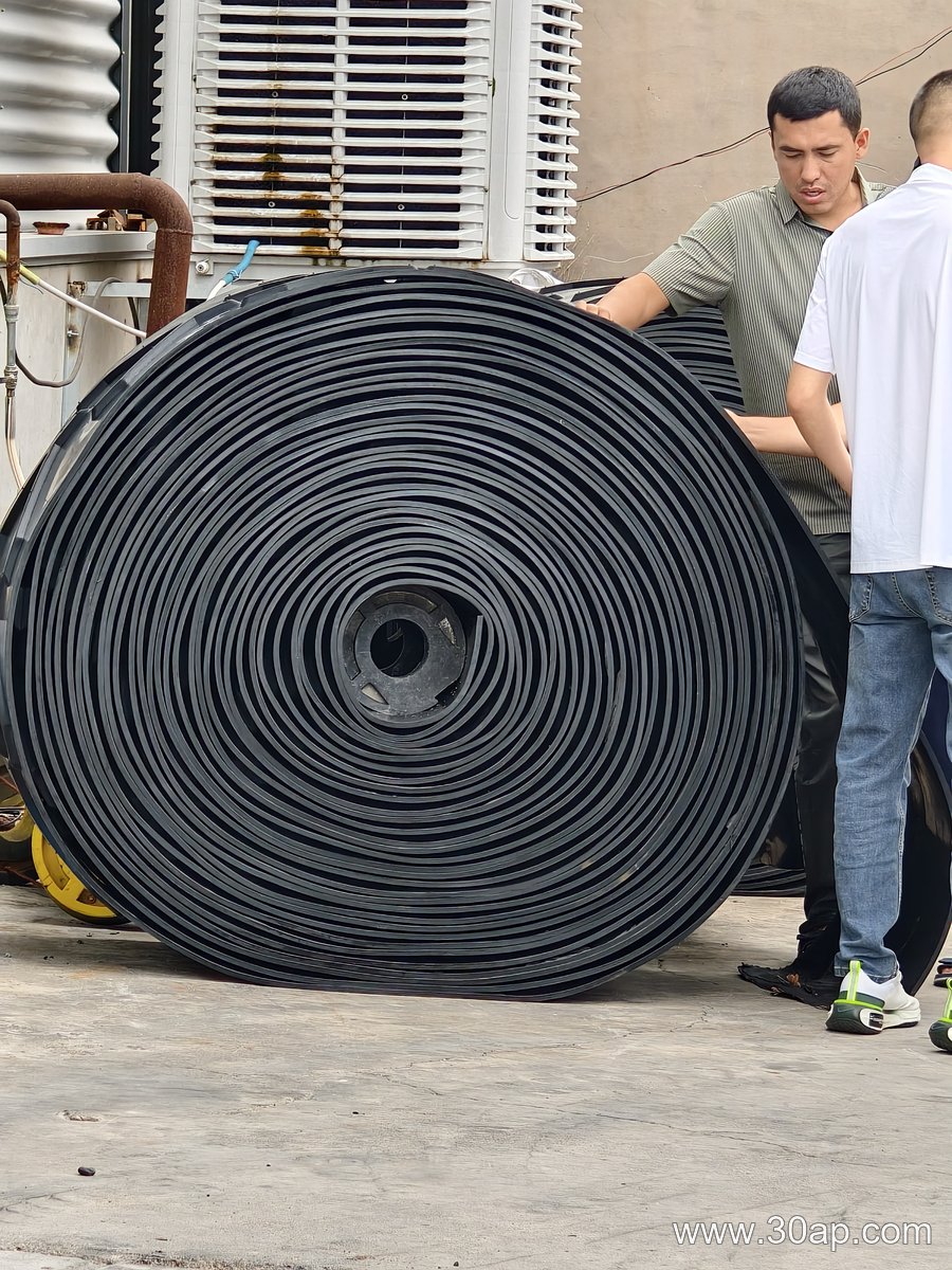 Flame Retardant Conveyor Belt product image