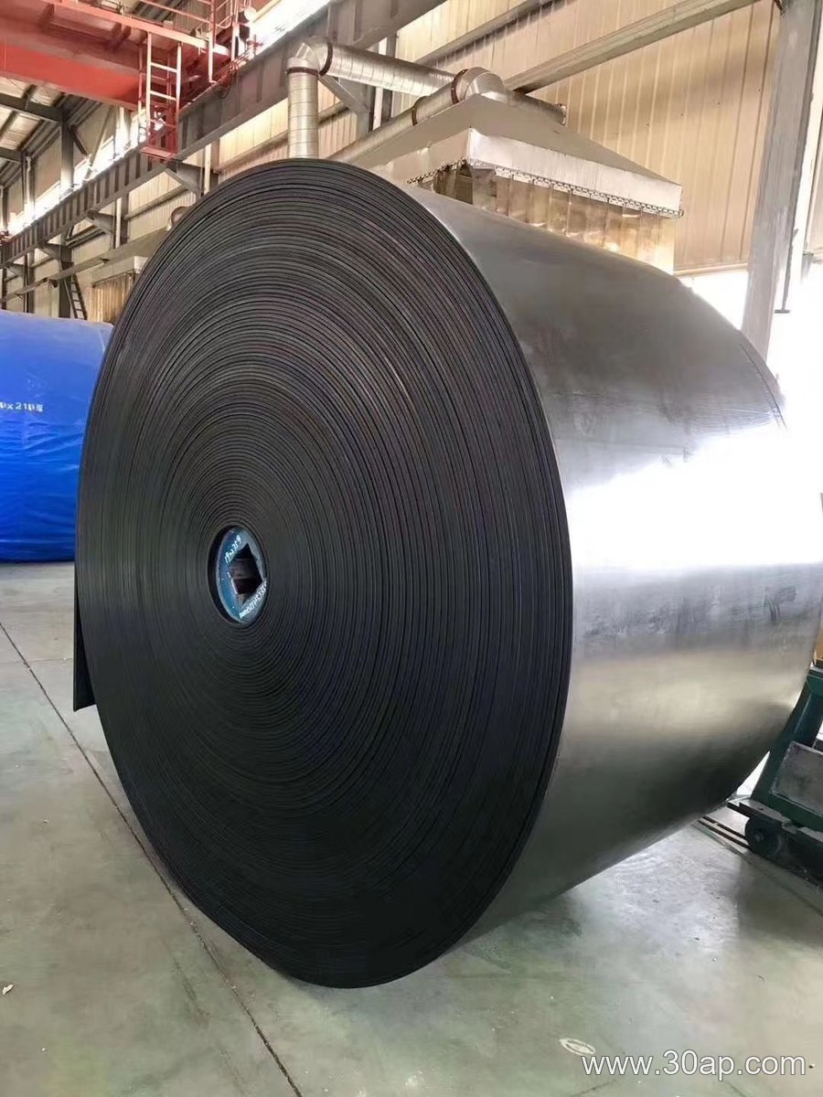 EP800 Conveyor Belt product image