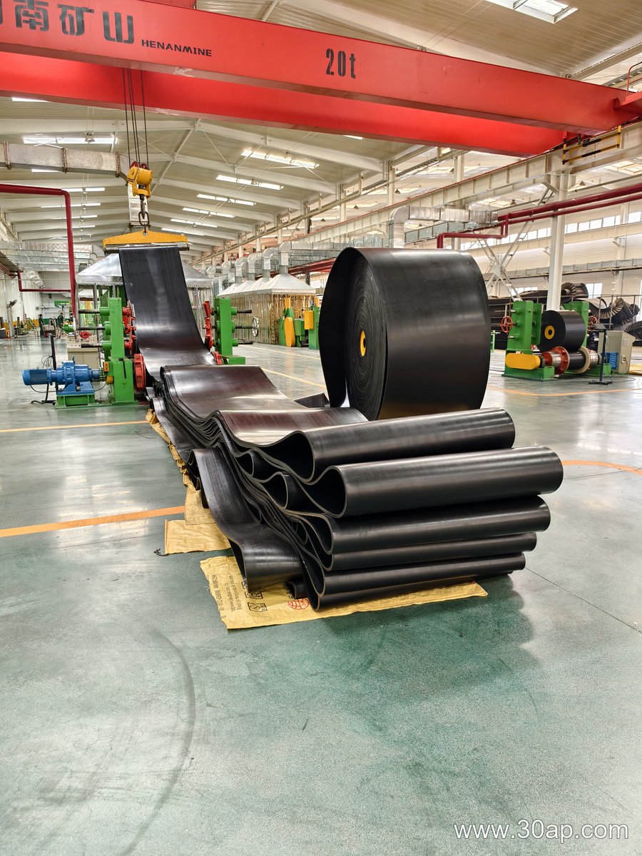 PVG800 Conveyor Belt product image