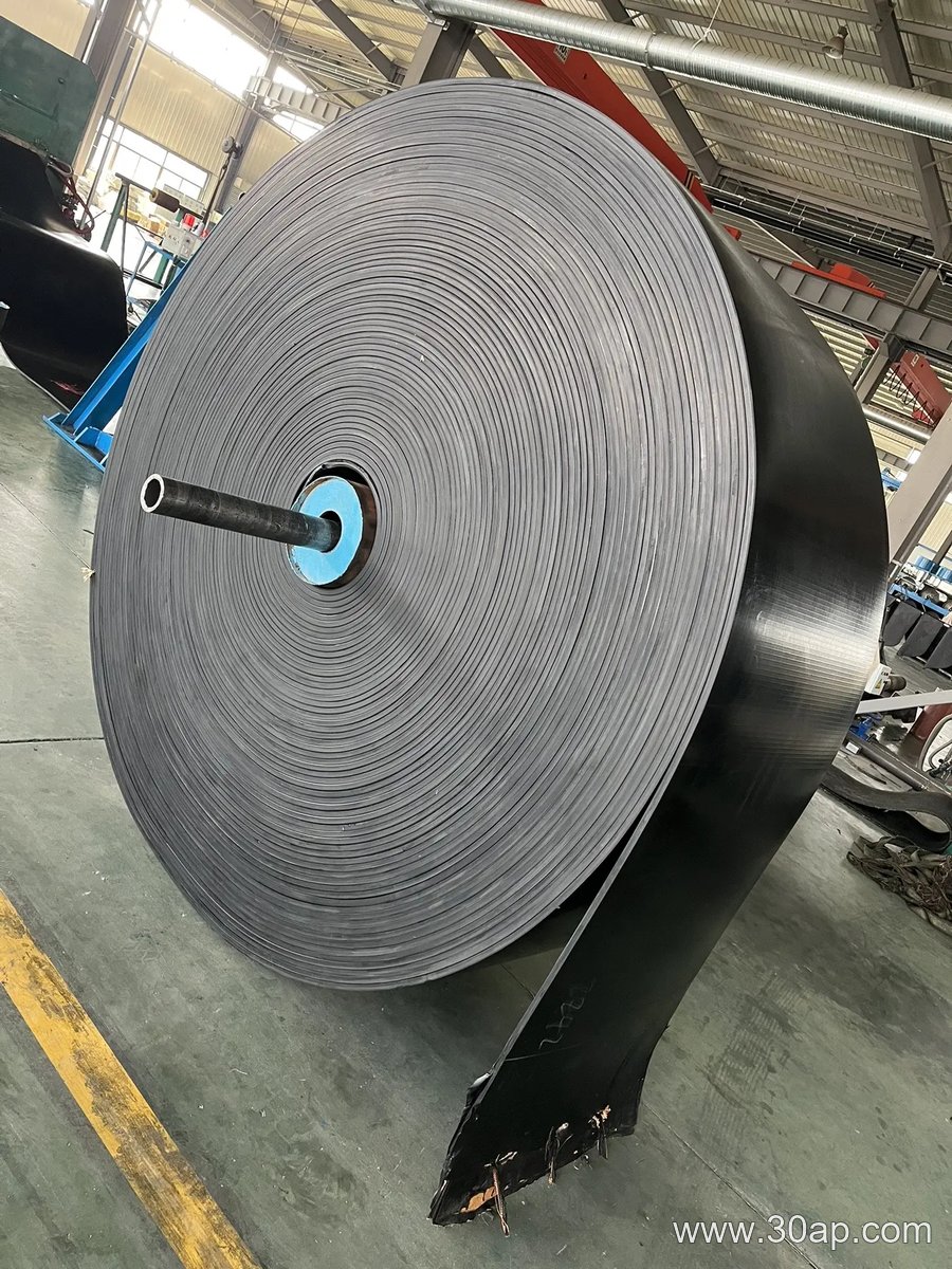 Endless Conveyor Belt product image