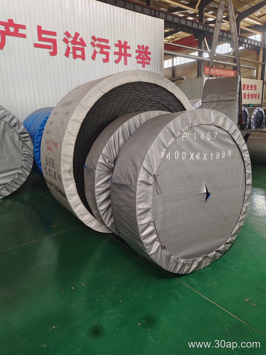 EP1250 Conveyor Belt
