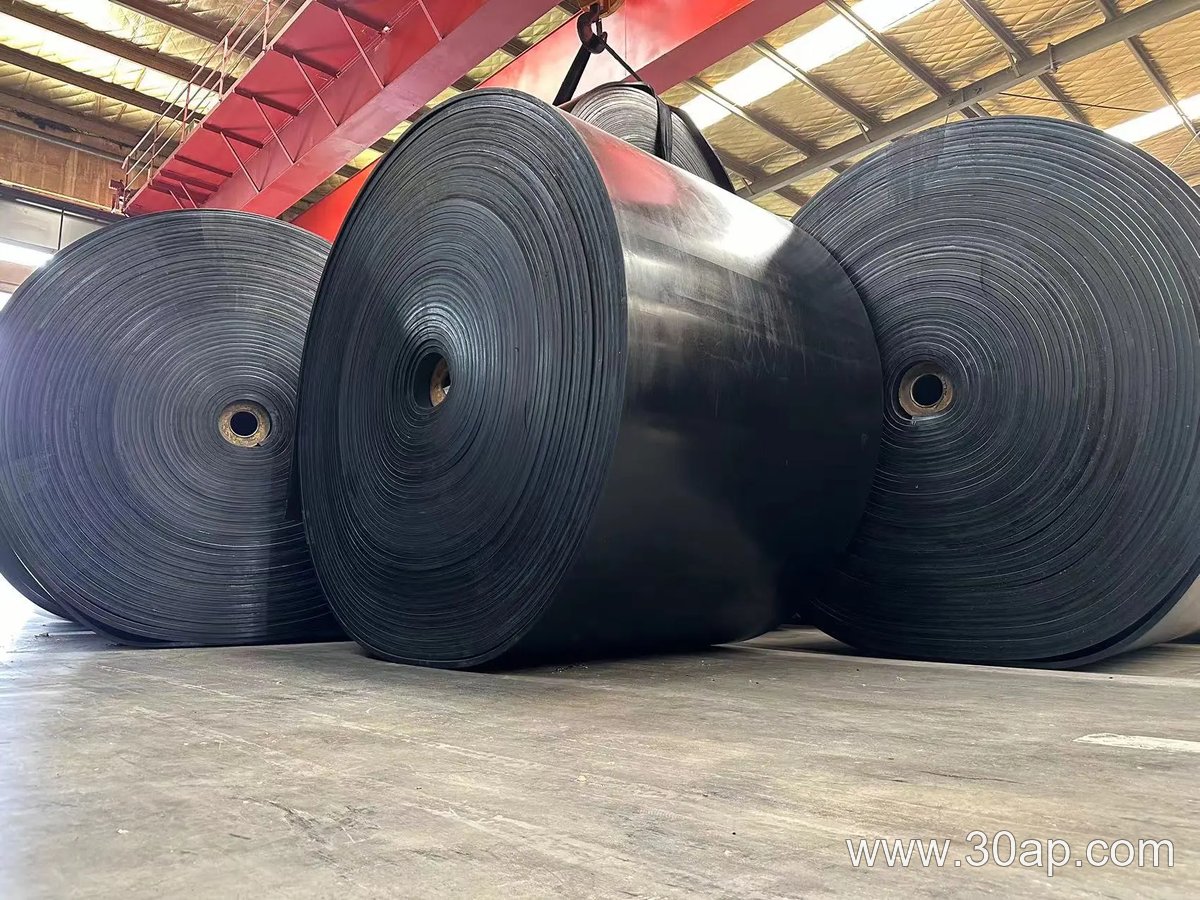 2400mm Conveyor Belt product image