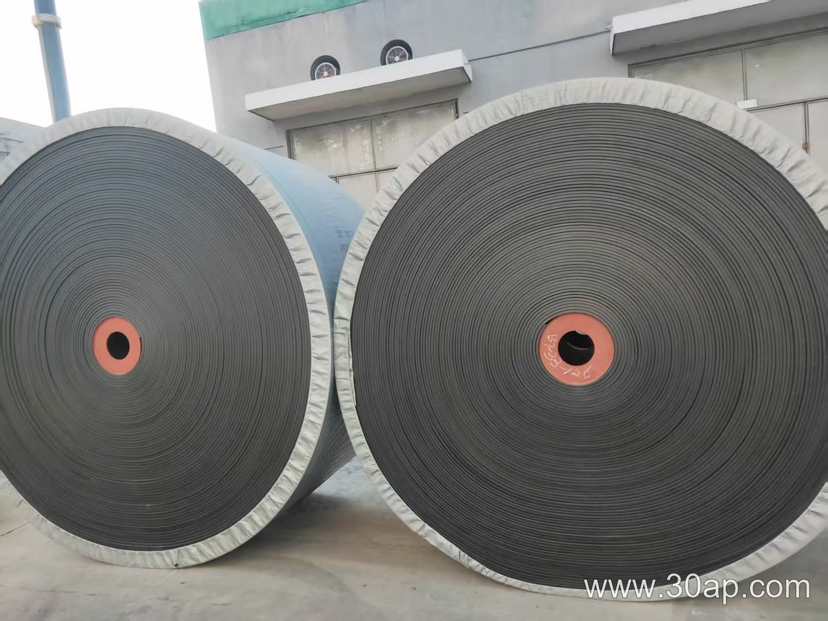NN Conveyor Belt product image