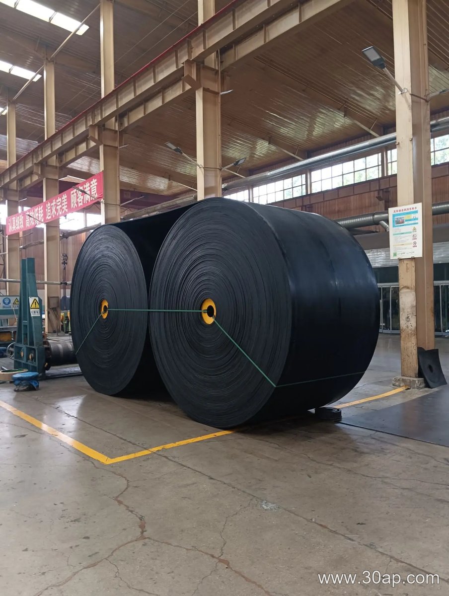 NN Conveyor Belt product image