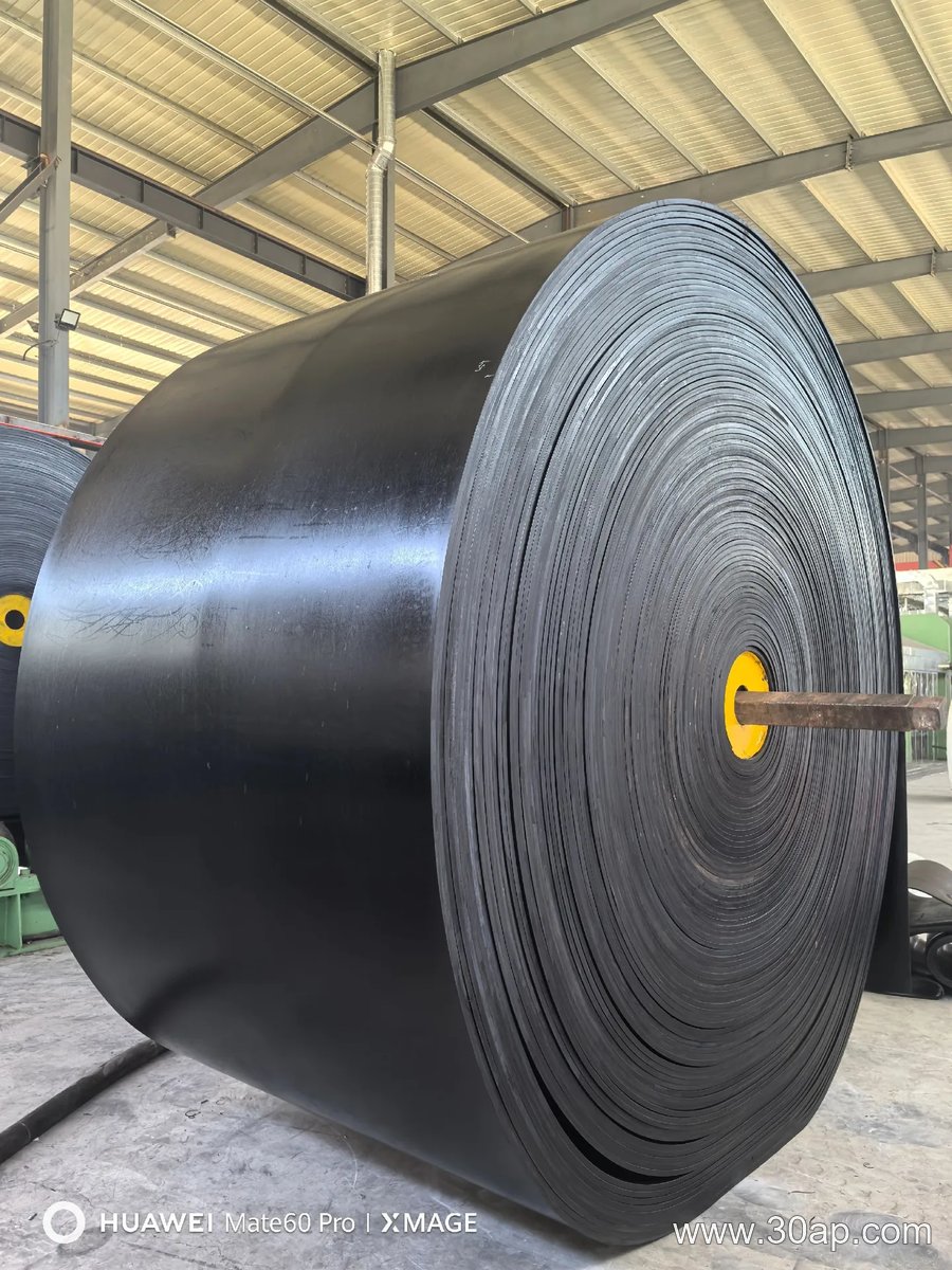 EP1250 Conveyor Belt