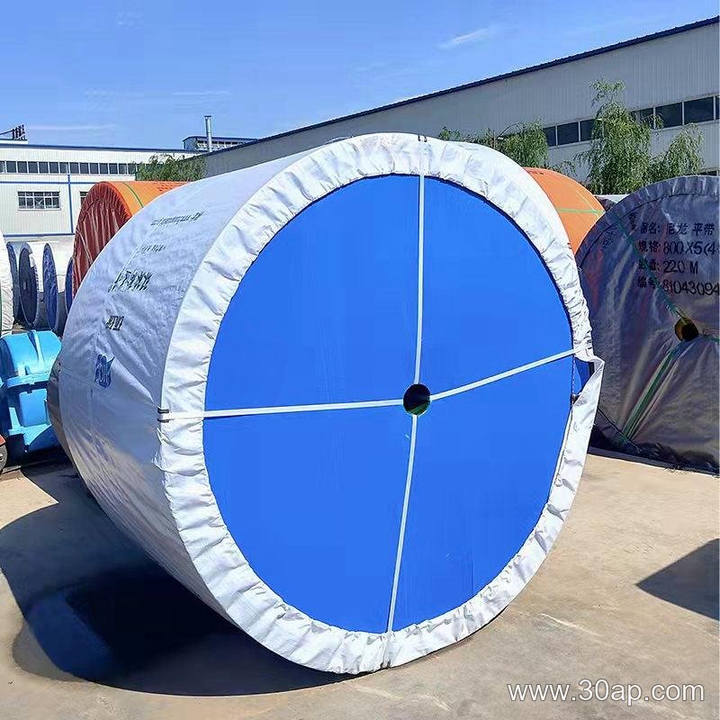 EP1000 1200mm Conveyor Belt product image