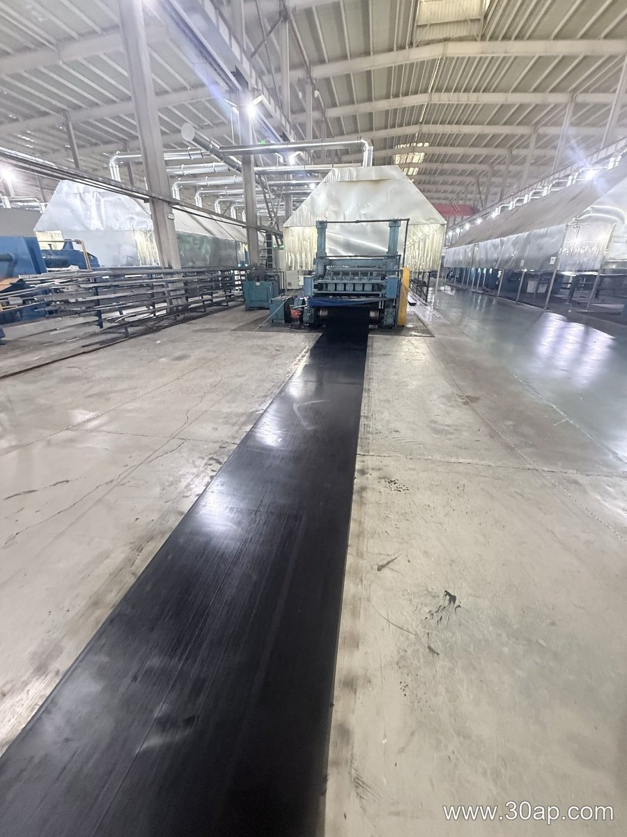 EP200 Conveyor Belt product image