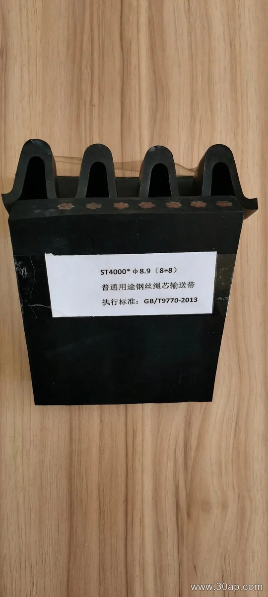 Flame Retardant Conveyor Belt product image