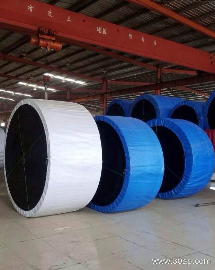 Acid Resistant Conveyor Belt