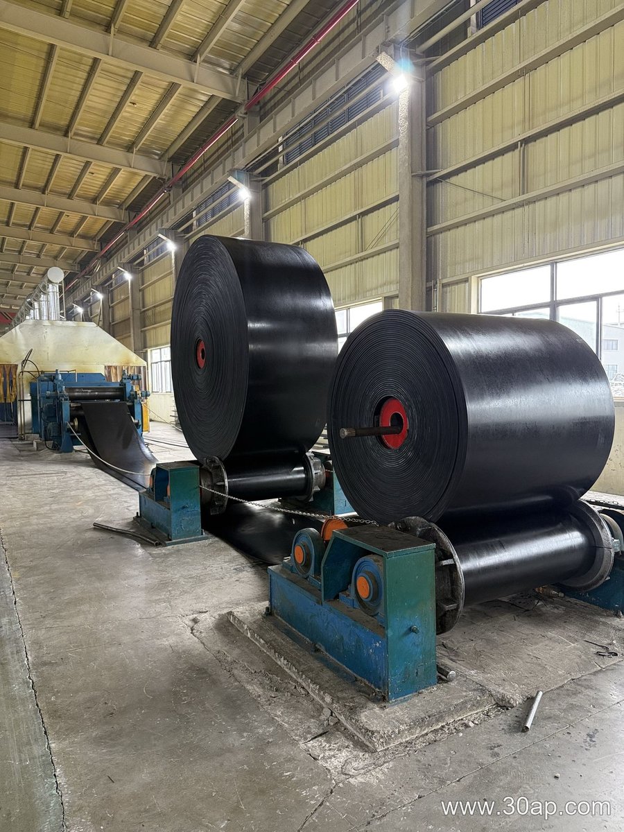 2200mm Conveyor Belt product image