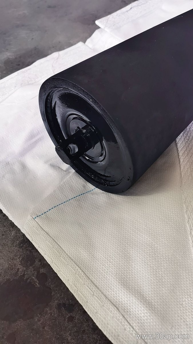 Conveyor System Idler product image