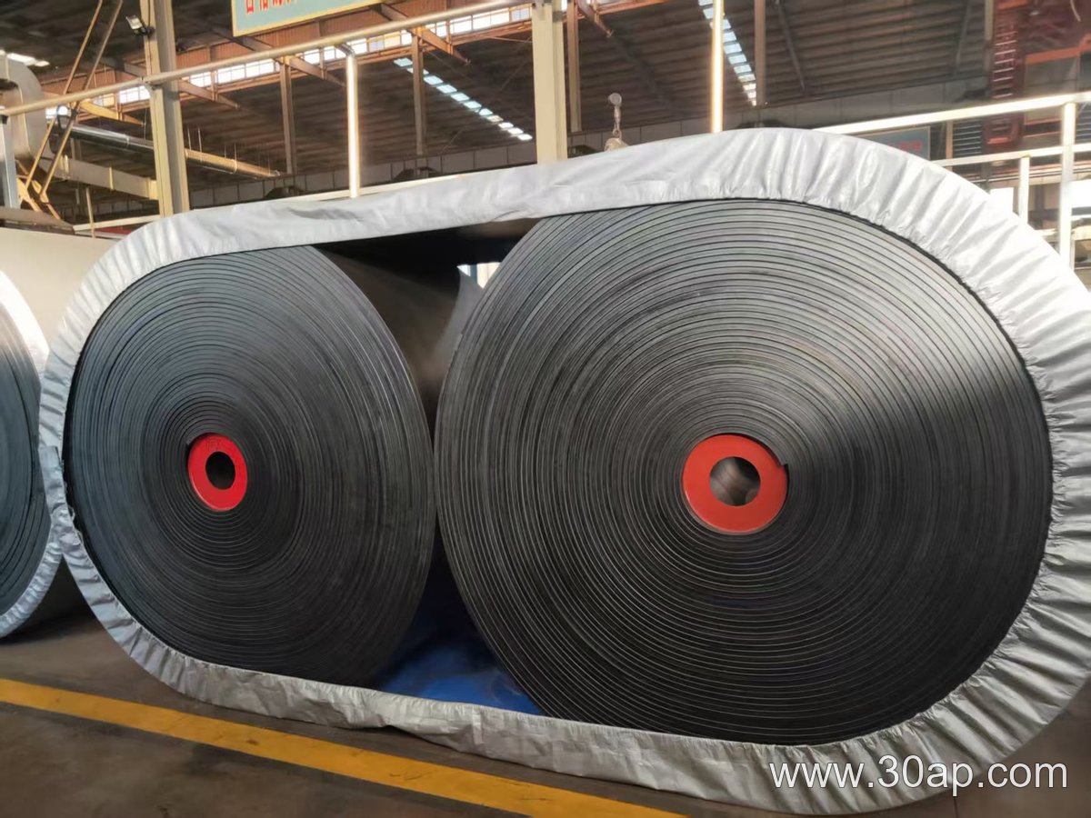 EP Conveyor Belt, 10mm Thick product image