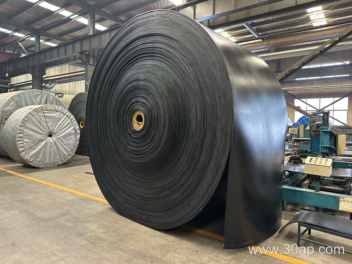 NN300 Conveyor Belt product image