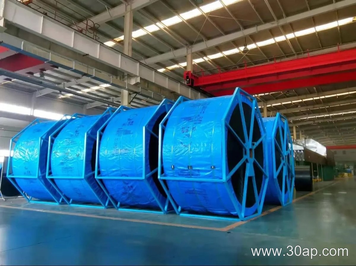 Heat Resistant Conveyor Belt product image