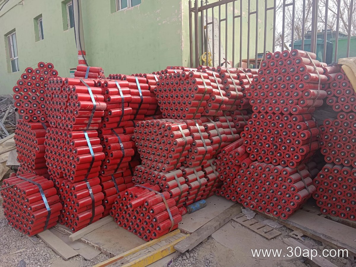 Double-Row Return Idler product image