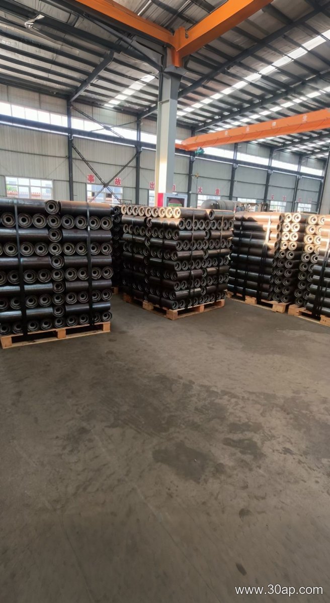 Belt Conveyor Guide Idler