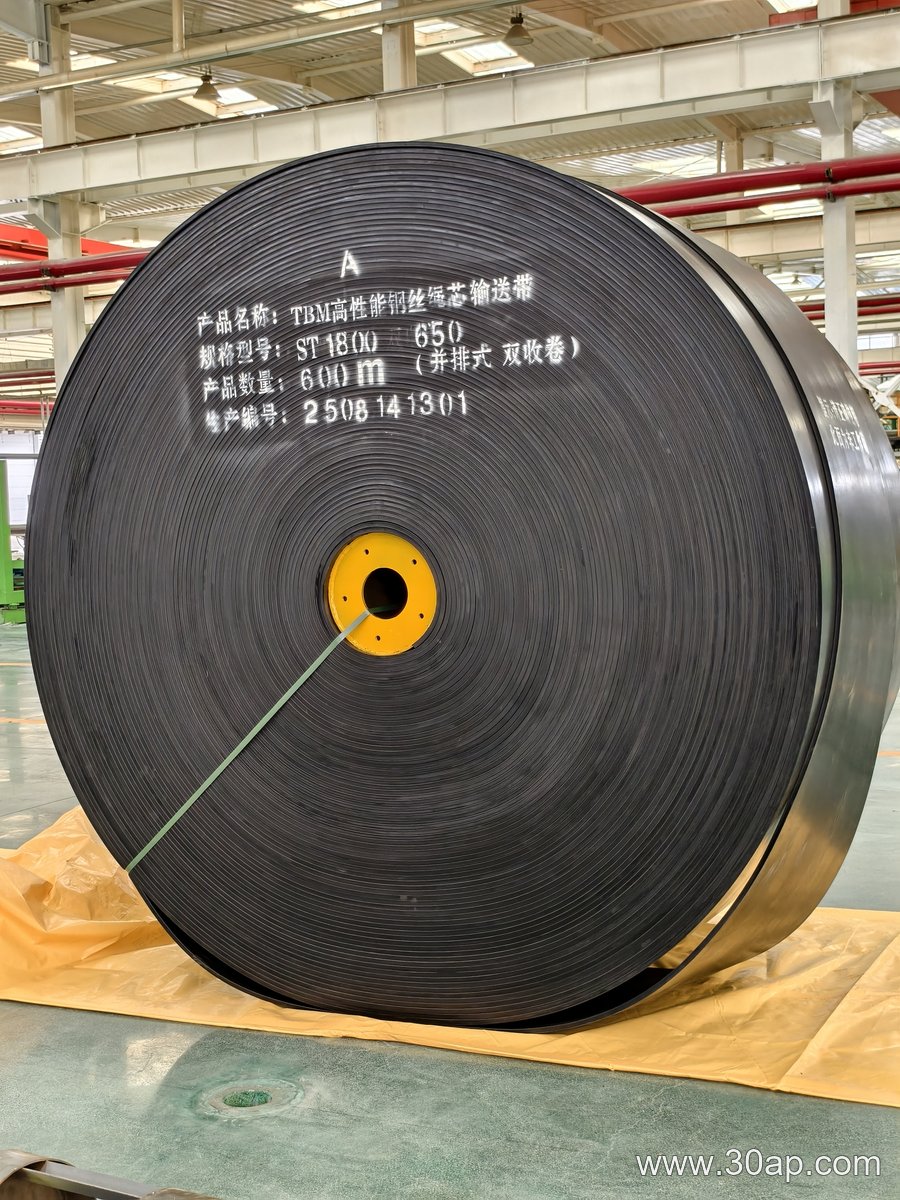 NN Conveyor Belt product image