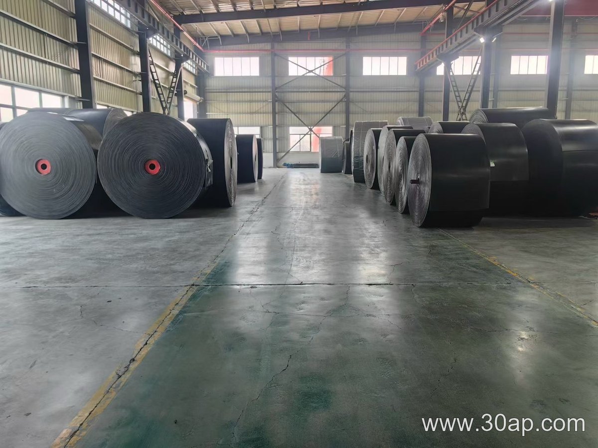 Cold Resistant Conveyor Belt product image