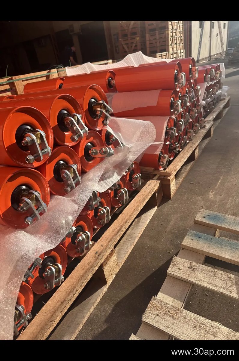 Belt Conveyor Idler product image