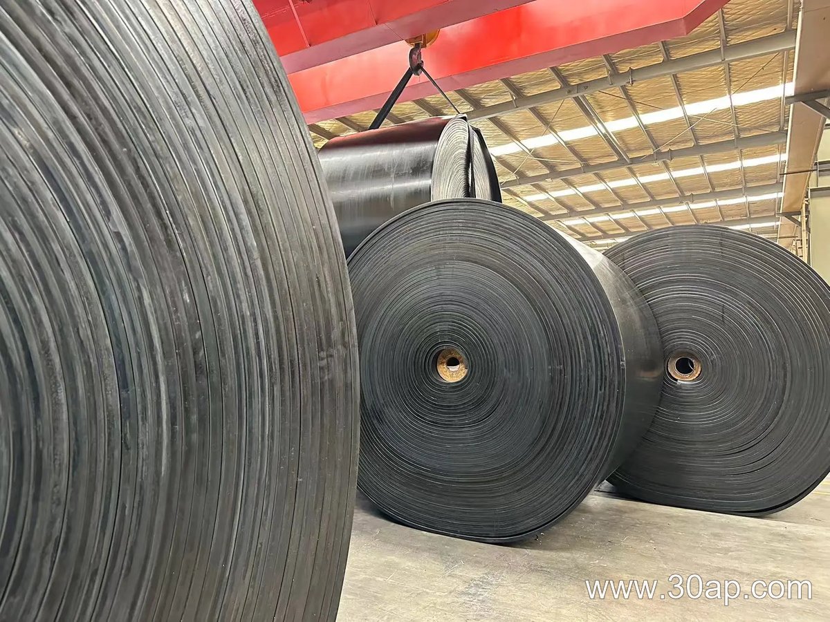 EP1250 Conveyor Belt