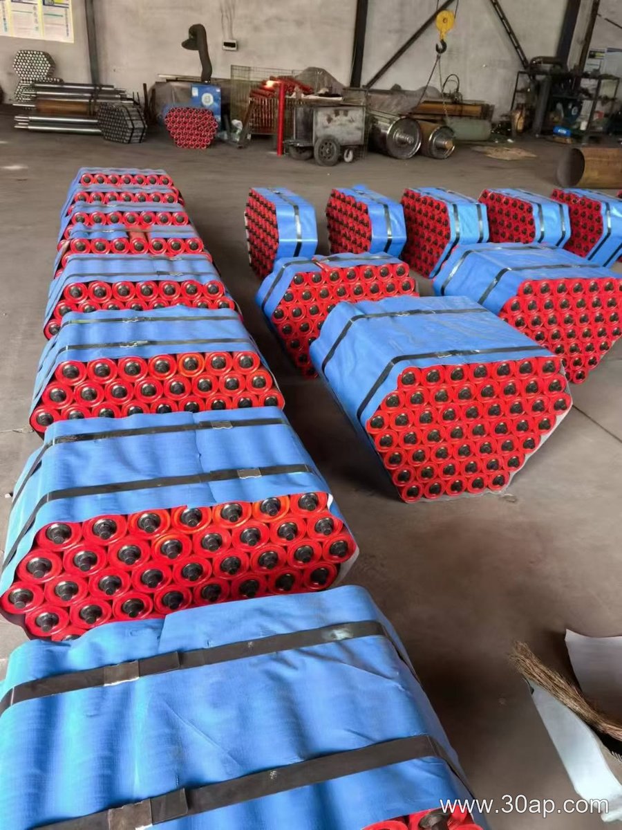 Ø63.5 Conveyor Idler