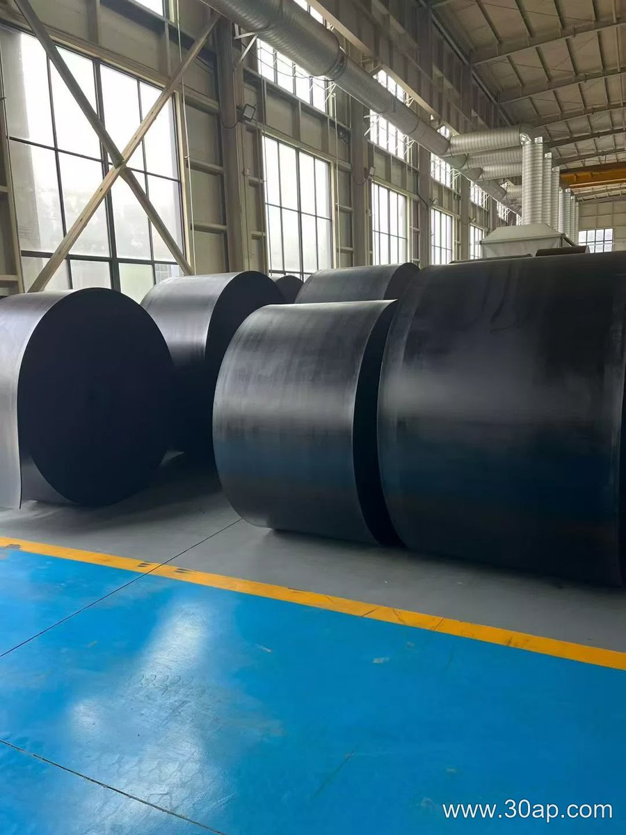 Heat Resistant Conveyor Belt product image